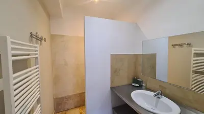 a bathroom with a sink and a mirror at Cocon du Papillon à Lourmarin in Lourmarin