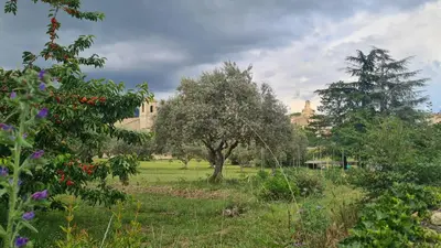 a field with trees and a building in the background at Cocon du Papillon à Lourmarin in Lourmarin