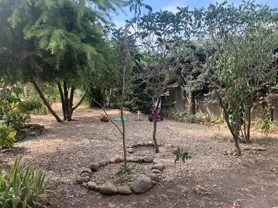 a garden with a circle of rocks around a tree at Charmant logement avec un extérieur et un jacuzzi in Lançon-Provence
