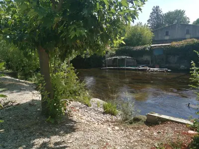a river with a tree and a body of water at Gites Partage des Eaux L'isle sur la Sorgue in LʼIsle-sur-la-Sorgue