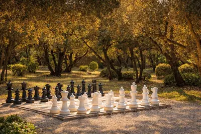 a table and four chairs sitting next to a tree at Ravissante Bastide Provencale 5 etoiles - Cadre idyllique - Piscine chauffée in Bonnieux