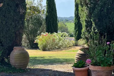 a garden with two large pots of flowers and trees at La Villa La Source à Aix en Provence in Aix-en-Provence