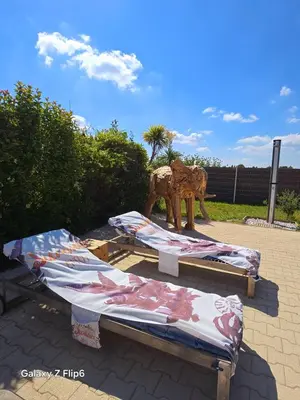 a statue of a dog next to two beds at L'endroit incontournable in Les Baïsses