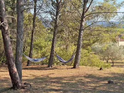 a hammock in a forest with trees at Villa Cantirane in Saint-Pierre-de-Vassols