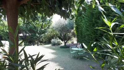 a table and chairs in a garden with trees at Chambres d'Hôtes dans villa avec piscine chez Raphaële in LʼIsle-sur-la-Sorgue