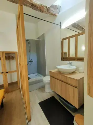 a bathroom with a sink and a toilet at Maison de ville au coeur du centre historique, parking gratuit in Apt