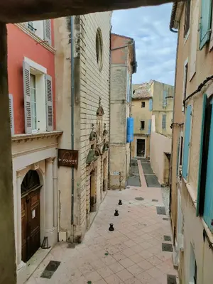 an alley with two pigeons walking down a street at Maison de ville au coeur du centre historique, parking gratuit in Apt