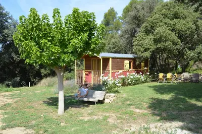 a woman sitting on a bench in front of a tree at Domaine Les Perpetus in La Tour-dʼAigues