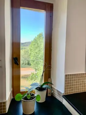 two potted plants sitting on a counter in front of a window at Maisonnette atypique cadarache-iter in Saint-Paul-lez-Durance