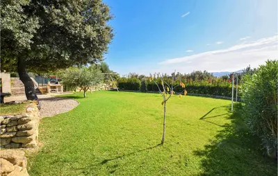 a small tree in the middle of a grass field at Gorgeous Home In Puget in Puget