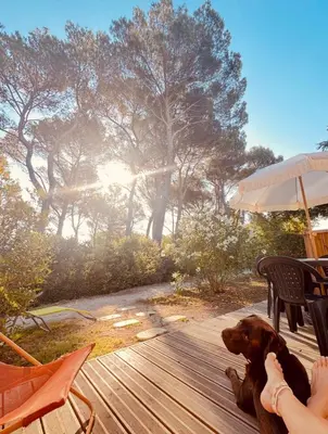 a person and a dog sitting on a wooden deck at Maison de vacances au calme 4 personnes residence avec piscine in Aubignan