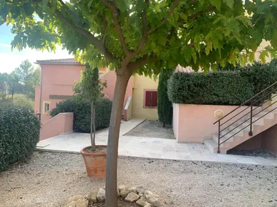 a tree in a yard next to a building at la pinède in Roussillon
