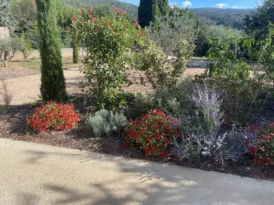 a garden with colorful flowers and trees and a sidewalk at lagalerie84 in Saint-Saturnin-les-Apt