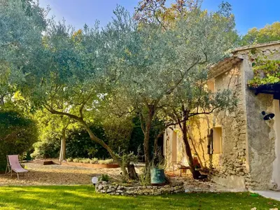 an old stone house with a tree in the yard at Le Mazet de l'Isle sur la Sorgue in Saumane-de-Vaucluse