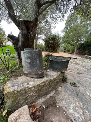 a bucket sitting on a rock next to a tree at Le Mazet de l'Isle sur la Sorgue in Saumane-de-Vaucluse