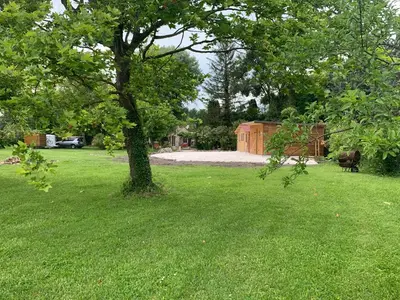 a tree in the middle of a yard with a house at Standing duplex FULL Equipements idéal moyen séjours in Le Thor