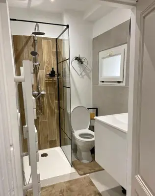 a bathroom with a shower and a toilet and a sink at Appartement - Spa in Monteux