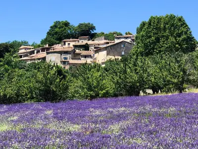 a building with a field of purple flowers at Gîte St Roch en Luberon in Castellet