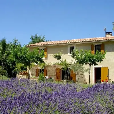 Gîte St Roch en Luberon