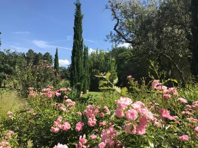 a garden with pink flowers and trees in the background at Mas Boudeissoun - Cœur de cerise - Baignade à 600 m in Mormoiron