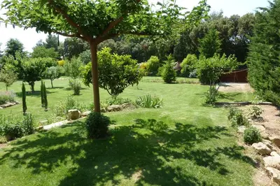 a tree in the middle of a garden at Gîte la Saume in Lambesc