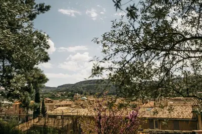 a view of a town from the trees at Villa Balleti - private pool with a view in Apt