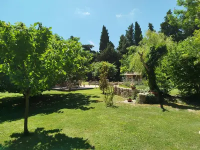 a garden with trees and grass and a building at Charmante bergerie dans un cadre bucolique in Saint-Rémy-de-Provence
