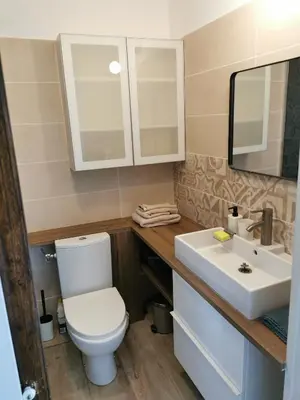 a bathroom with a white toilet and a sink at Studio indépendant à 2 minutes du golf du Luberon in Pierrevert