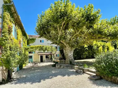 a large tree in a yard next to a house at Le Mas des Perrines Maison d’Hôtes in Pernes-les-Fontaines