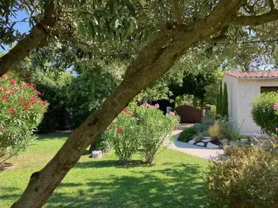 a view of a yard with a house and some plants at La Maison 1440 in LʼIsle-sur-la-Sorgue