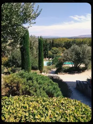 a garden with a pool and trees and bushes at Maison Bournissac in Noves