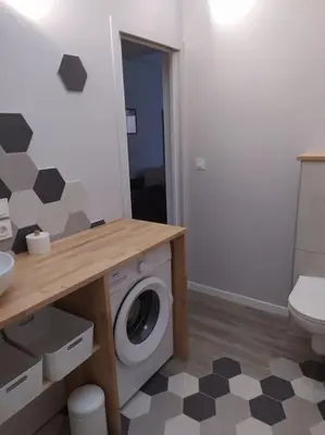 a bathroom with a washing machine and a toilet at Le Petit Pied à Terre du Luberon in Mérindol