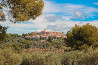 a house on top of a hill with trees at SOUS LES PLATANES in Velaux