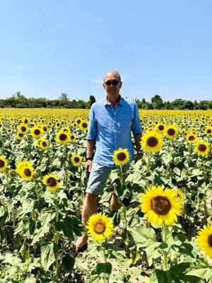 a man standing in a field of sunflowers at La Petite Cave in Saignon