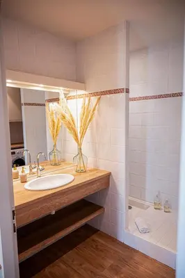 a bathroom with a sink and a shower at La Blanchère, vue golf in Vedène