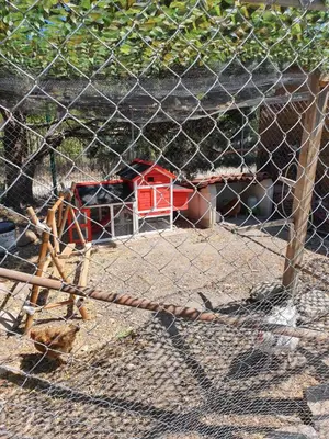 a chain link fence with a toy house behind it at Le nid’Ange in Velleron