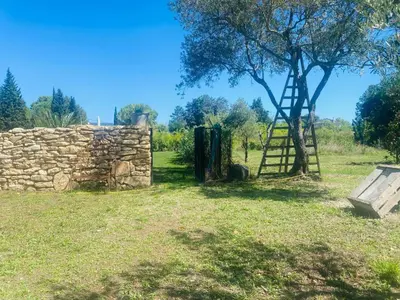 a stone wall and a ladder next to a tree at Gîte Mas La Bohème Piscine Parking Privé L'Isle-Sur-La-Sorgue in LʼIsle-sur-la-Sorgue