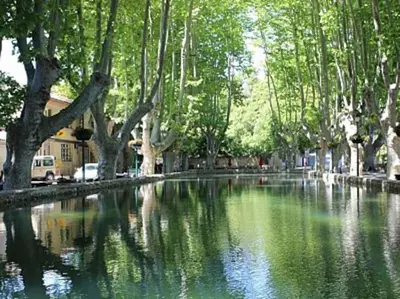 a reflection of trees in a pond of water at Campagne de Saint Clair in Pertuis