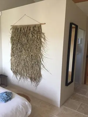 a bedroom with a wall with a hanging plant at Bastide la Melonnerie in Lacoste
