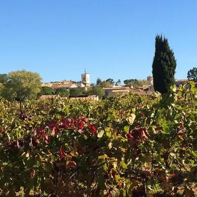 a field filled with lots of green and red flowers at La Reynière du Sud Luberon in La Bastide-des-Jourdans