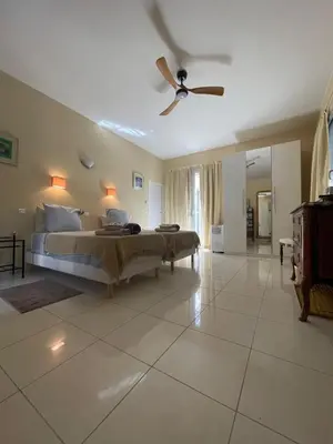 a bedroom with a bed and a ceiling fan at La Beaume in Blauvac