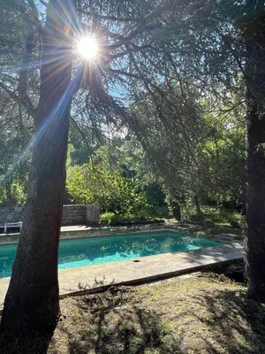a swimming pool with the sun shining through a tree at Les Grottes in Sivergues