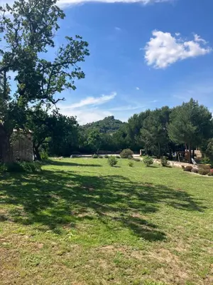 a large grass field with a tree in the middle at La bastide des Roman in Vernègues