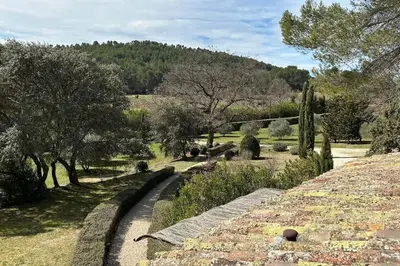 a garden with trees and a hill in the background at La Terrasse Collongue in Lourmarin