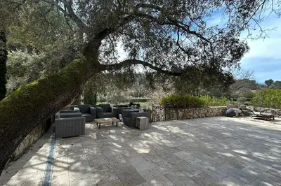 a large tree with chairs and a table under it at La Terrasse Collongue in Lourmarin