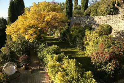 a garden with bushes and trees and a wall at La petite Maison de Gordes in Gordes