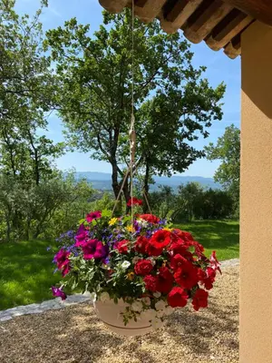 a pot of flowers hanging from a porch at Chante Coucou in Saint-Saturnin-les-Apt