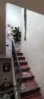 a staircase with a potted plant on the wall at LA JOVINE 2 Sault in Sault-de-Vaucluse
