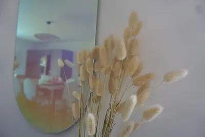 a vase with flowers in front of a mirror at Magnifique Villa avec Piscine en Provence in Verquières