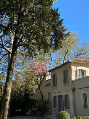 a house with a tree in front of it at Ermitage Notre Dame de Vacquieres in Noves